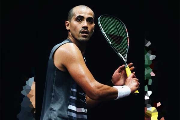 Wael Elhendy Bio